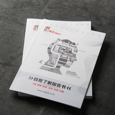 天賦測(cè)評(píng) 自我了解報(bào)告