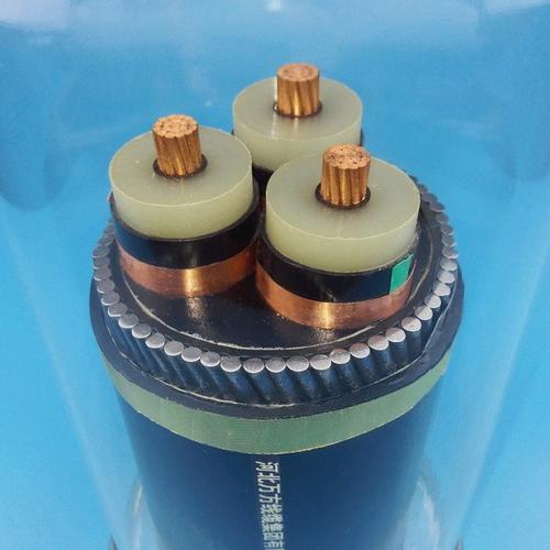 天津小貓電線電纜公司 YJV42交聯(lián)粗鋼絲鎧裝電力電纜