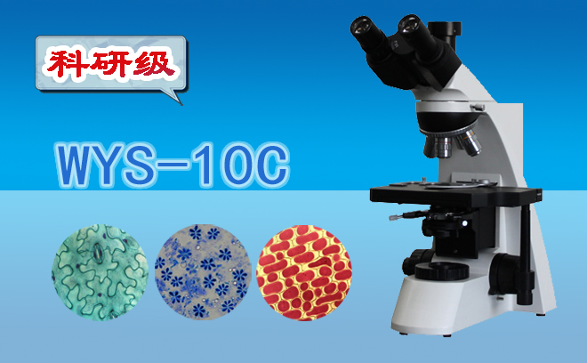 顯微鏡 生物顯微鏡 三目生物顯微鏡WYS-10C