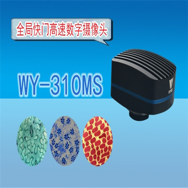 顯微鏡 金相顯微鏡 全局快門高速數(shù)字攝像頭WY-310MS