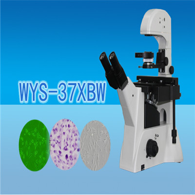 顯微鏡 生物顯微鏡 三目倒置生物顯微鏡WYS-37XBW