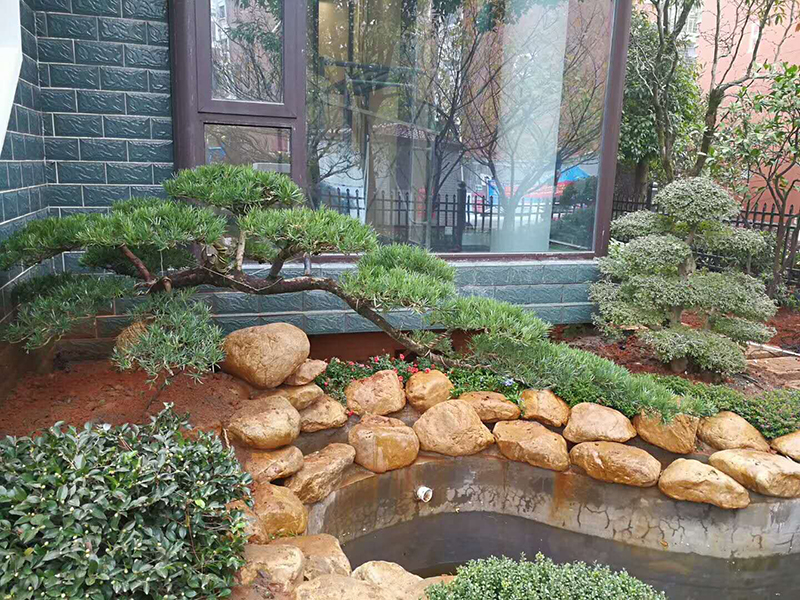 黃蠟石選哪里 廣東黃蠟石廠家 零售批發(fā)噸位石