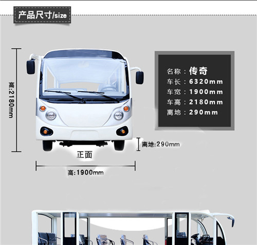 燃油觀光車綜合02