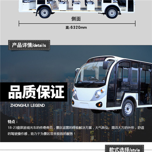 燃油觀光車綜合01